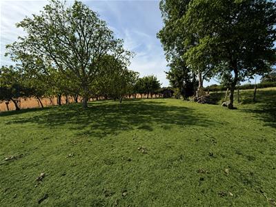 Picture 30